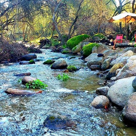 Magical River House ! 10 Min To Snp Park Entrance Three Rivers Exterior photo