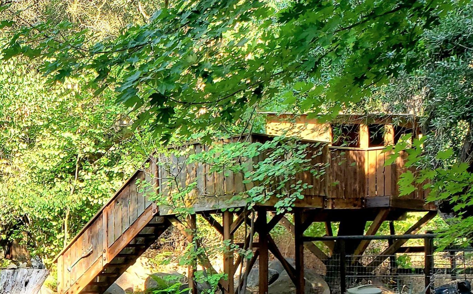 Magical River House ! 10 Min To Snp Park Entrance Three Rivers Exterior photo